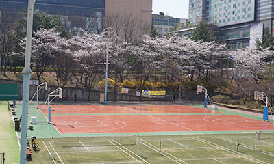 게이트볼장